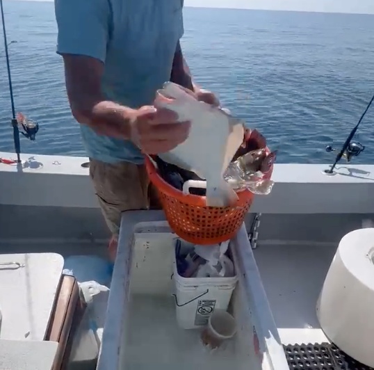 Business Card: Reel Release Sport Fishing