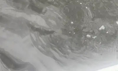 Steinhatchee Report Video 2