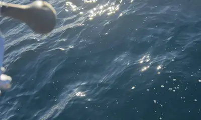 Treasure Coast Report Video 2