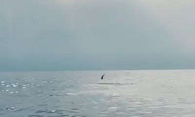 Halifax River Report Video 0