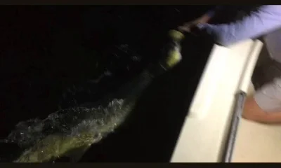 Miami Report Video 0