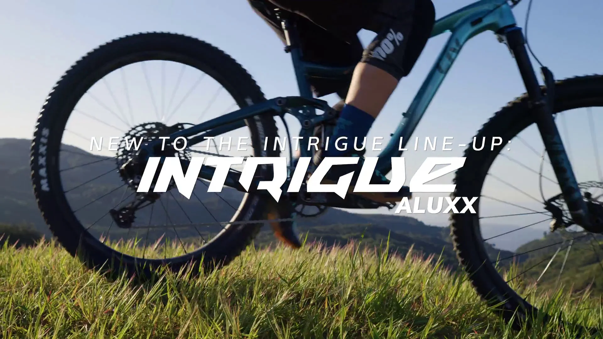 Introducing Intrigue ALUXX