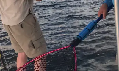 Venice Report Video 0