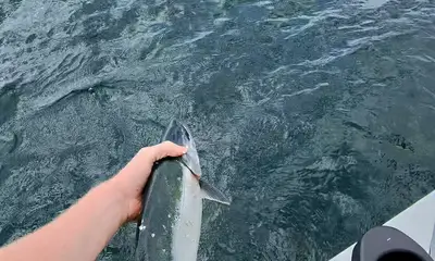Great day of fishing