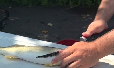 East Tawas Report Video 2