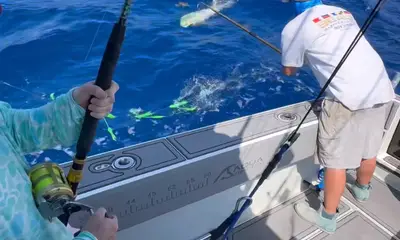 Fernandina Beach Report Video 0