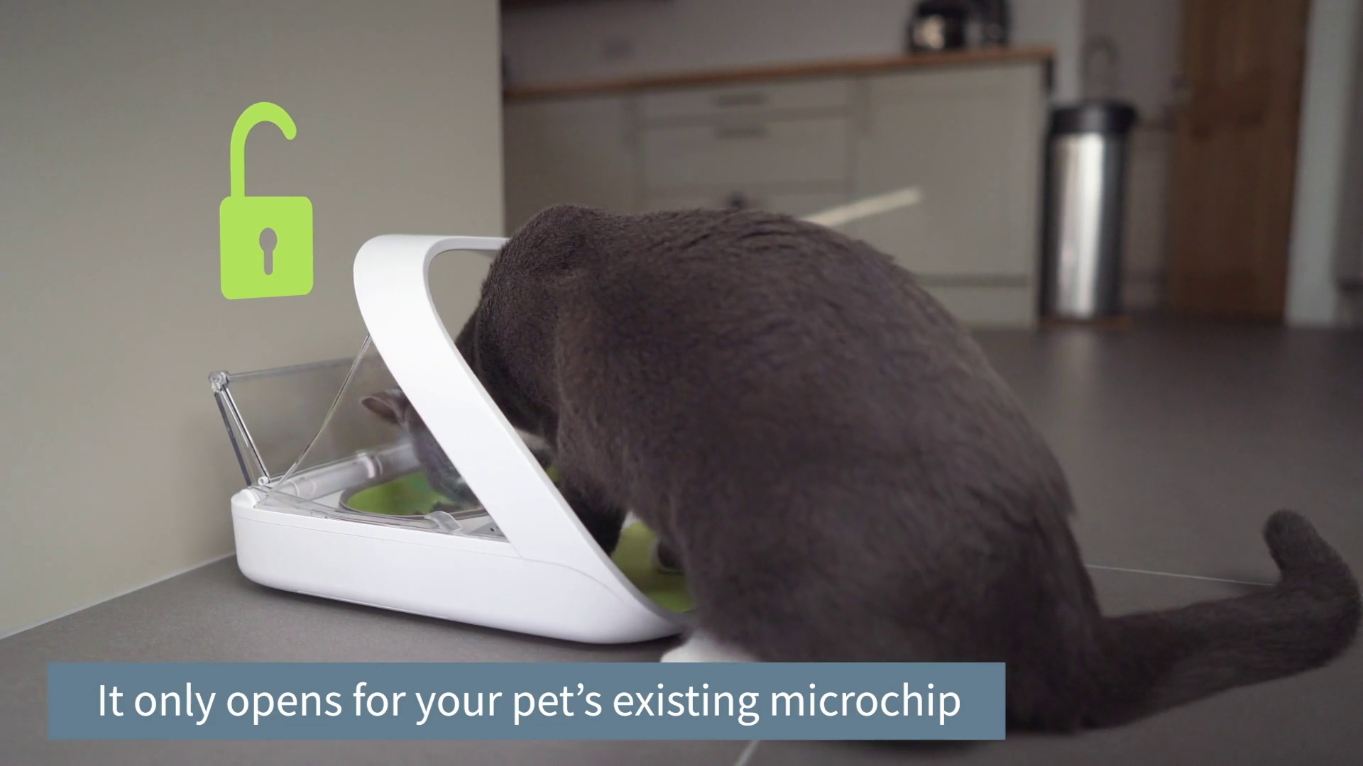SUREFEED Feeder Connect Microchip Automatic Dog & Cat Feeder