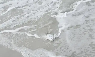 Santa Rosa Beach Report Video 0