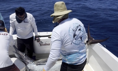 Once in a lifetime marlin!