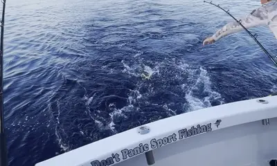 Pompano Beach Report Video 0