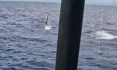 Kailua-Kona Report Video 0
