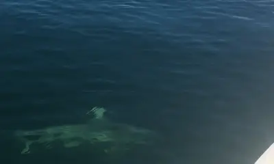 Bradenton Report Video 1