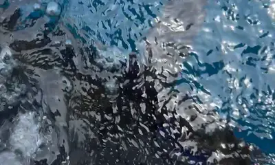 Paquera Report Video 2