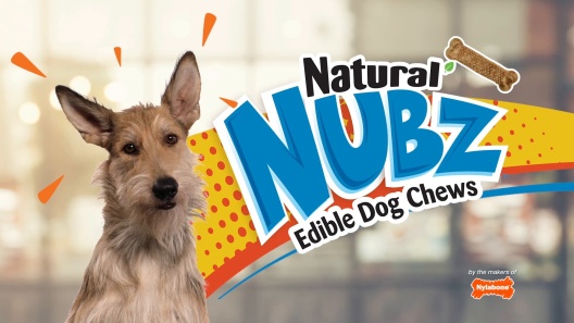 Nylabone Natural Nubz Chicken Dog Treat, Large