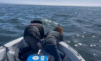 Cape Town Report Video 0