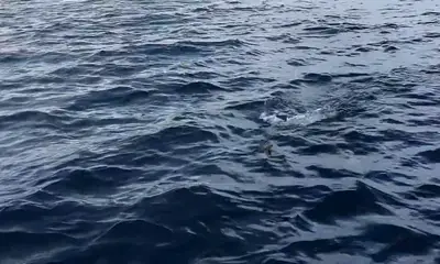 Panama City Report Video 0