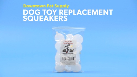 Play Video: Learn More About Downtown Pet Supply From Our Team of Experts