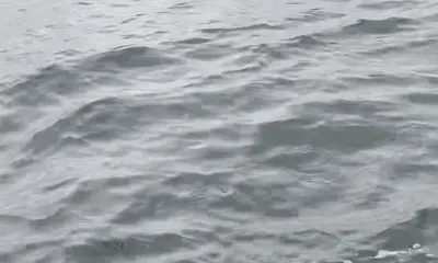 Lower Mainland Report Video 0