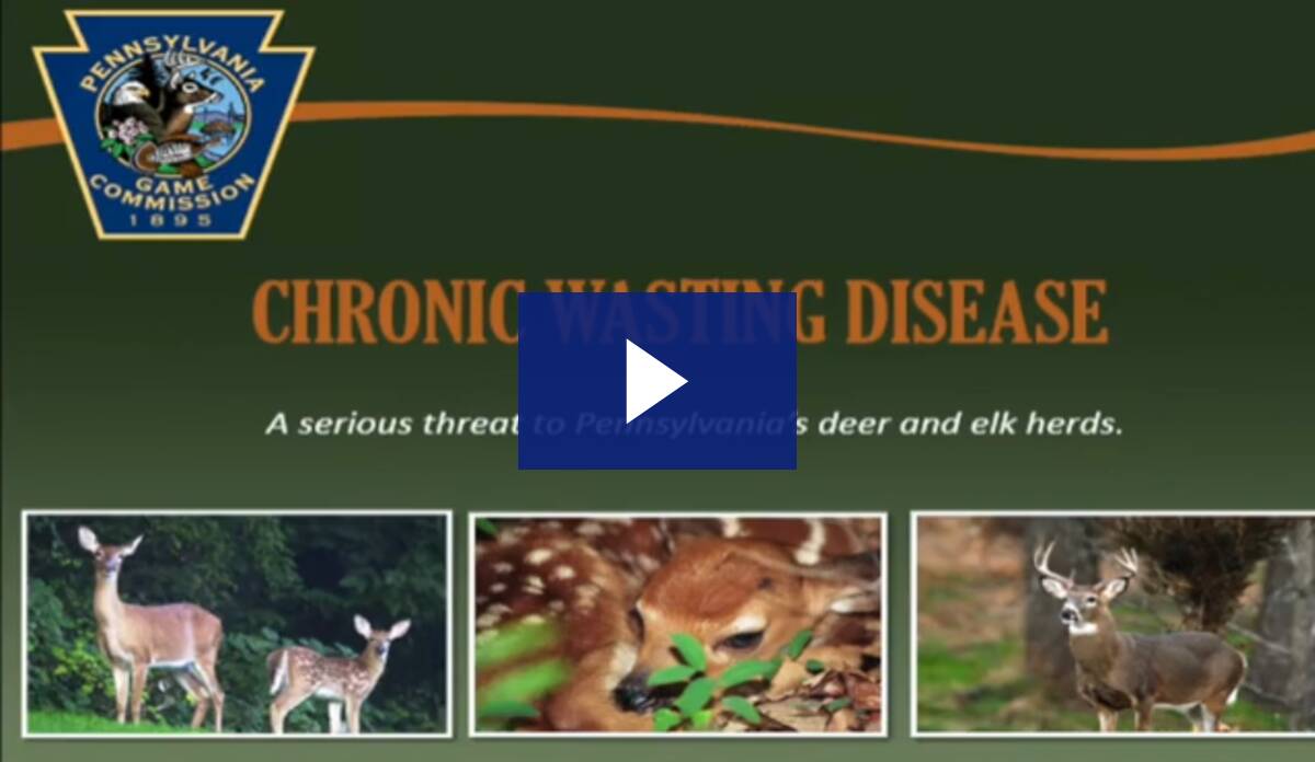 Chronic Wasting Disease Forum