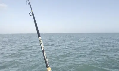 Rio Hondo Verslag Video 4