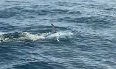 Middletown Township Report Video 0