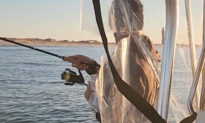 Mastic Report Video 2