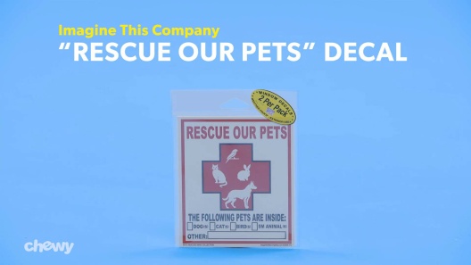 Play Video: Learn More About Imagine This Company From Our Team of Experts