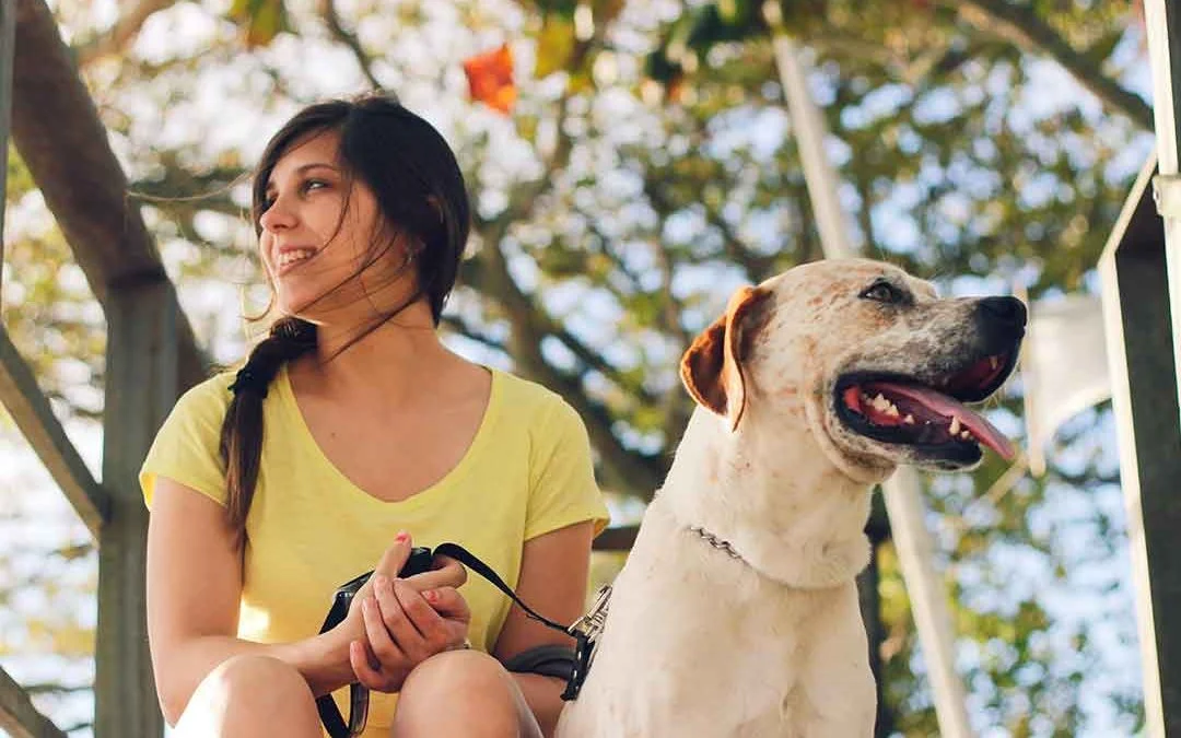 Similarities Found in How We Choose Human and Canine Companions (VIDEO) |  Thriveworks