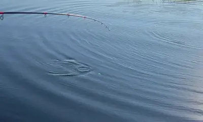 South Bay Report Video 0