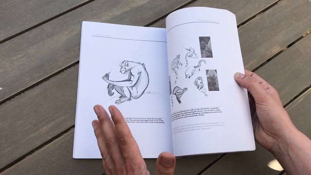 Dynamic Drawing Books With Force