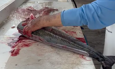 Fishing trip. 