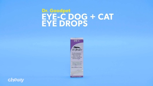 Play Video: Learn More About Dr. Goodpet From Our Team of Experts