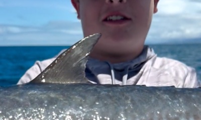 all that was promised was delivered