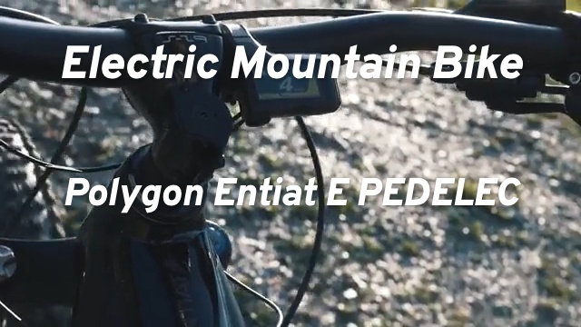 pedelec mountain bike