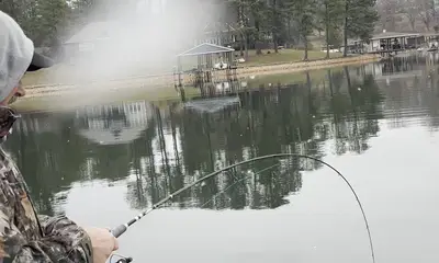 Winter striper jigging 