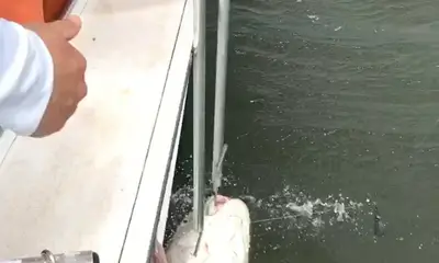 Margate City Report Video 0