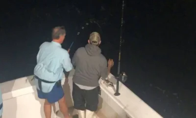 Orange Beach Report Video 1