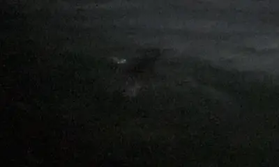 trophy tarpon