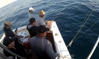 Sydney Harbour Report Video 1
