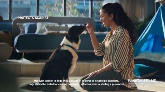 NexGard PLUS Chew for Dogs, 8.1-17 lbs. (Green Box)