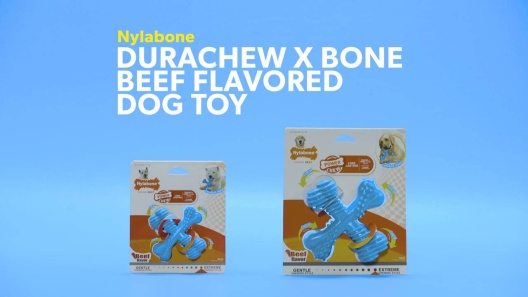 Play Video: Learn More About Nylabone From Our Team of Experts