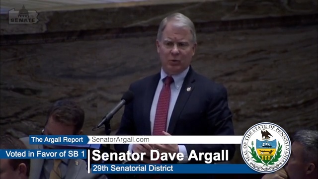 March 2023 - The Argall Report: Senate Bill 1 (Constitutional Amendments)