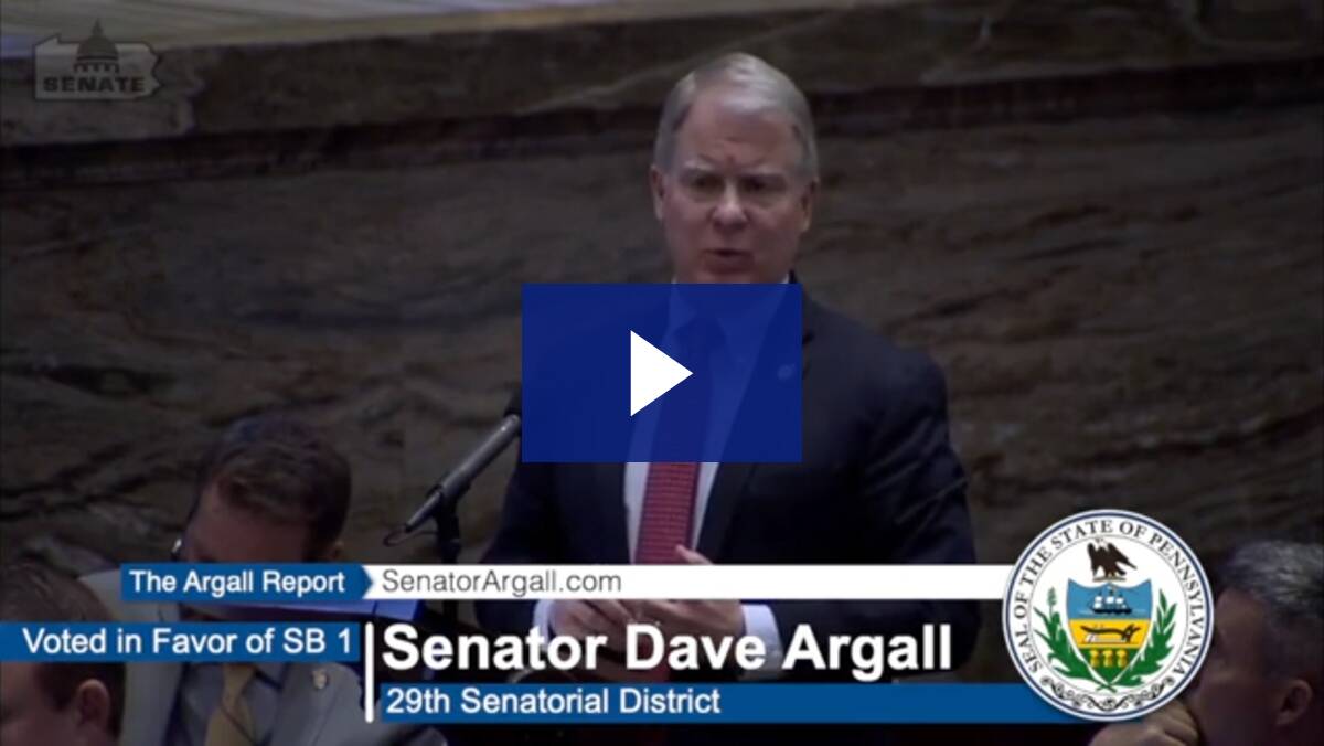 March 2023 - The Argall Report: Senate Bill 1 (Constitutional Amendments)