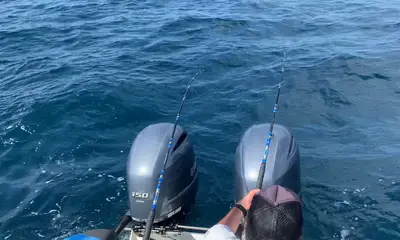 Coronado Report Video 0