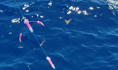 Dominican Republic Report Video 1