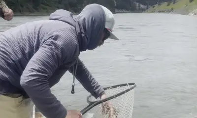 Montana Report Video 2