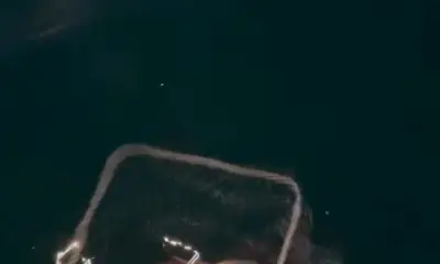 The captan is now FAMILY!!!