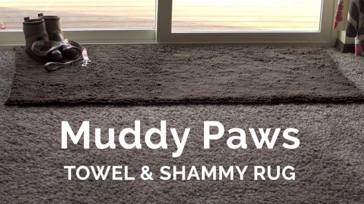 FURHAVEN Muddy Paws Towel & Shammy Dog Mat, Gray, Small 
