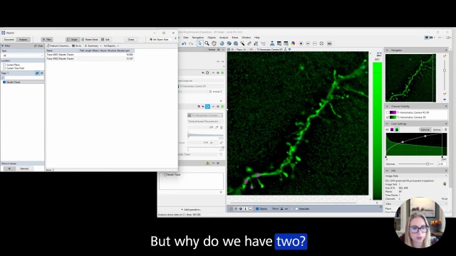 Automated Spine Identification in arivis Pro from SIM images