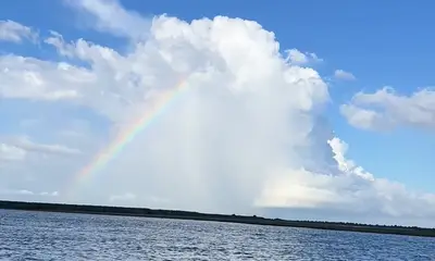 Perfect fishing trip. 